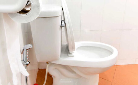 Unclog Drains Blocked Pet Fur Easily